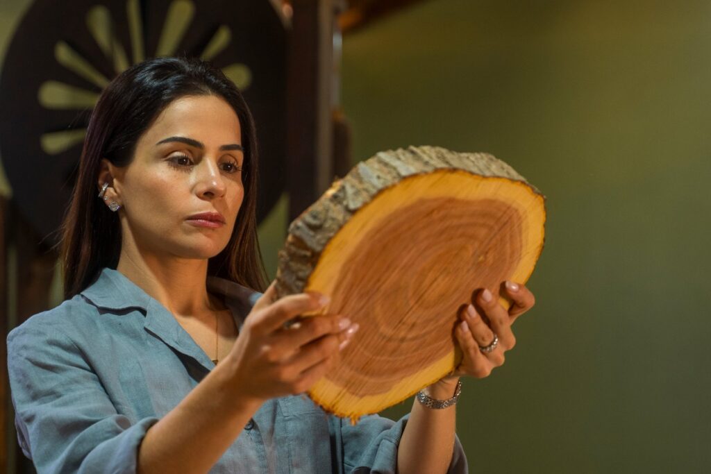 Shine segura uma rodela de Mogno Bahia® com casca e observa o cerne avermelhado e o alburno claro
