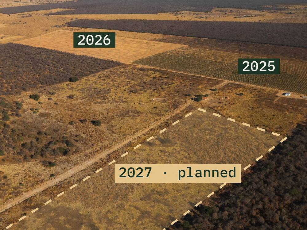 Aerial view of the farm with the area planned for the 2027 forest outlined with a dashed line