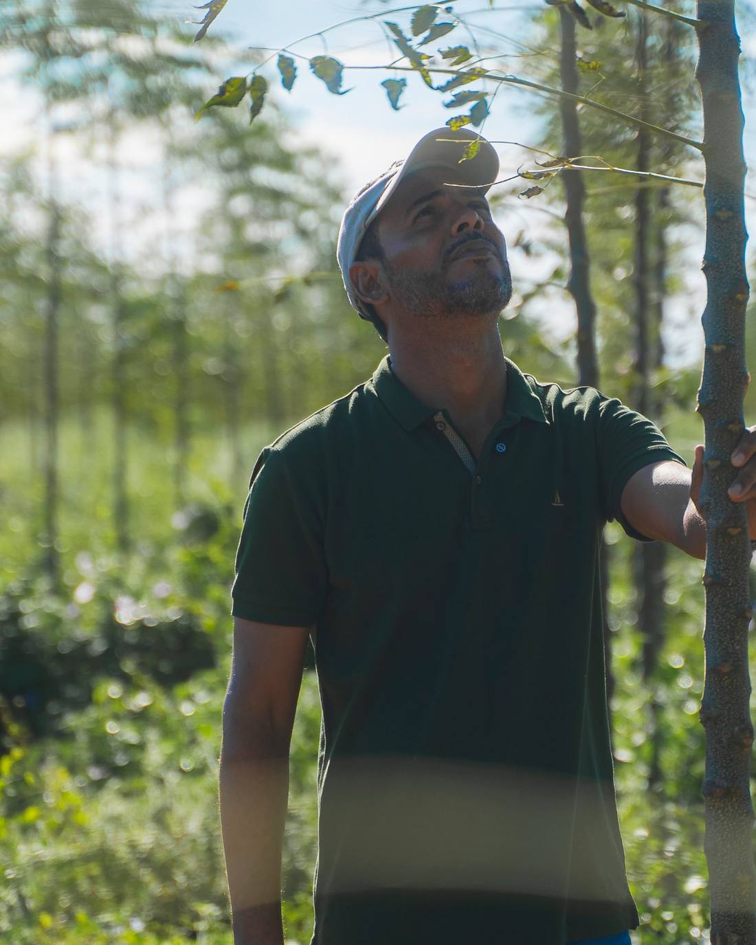 Alan dos Anjos, GWG co-founder, looking up at the canopy of a Mogno Bahia® forest